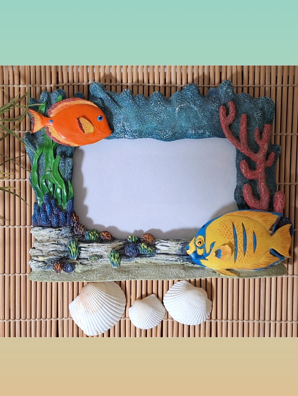 Coastal Reef Fish Photo Frame - Under the Sea